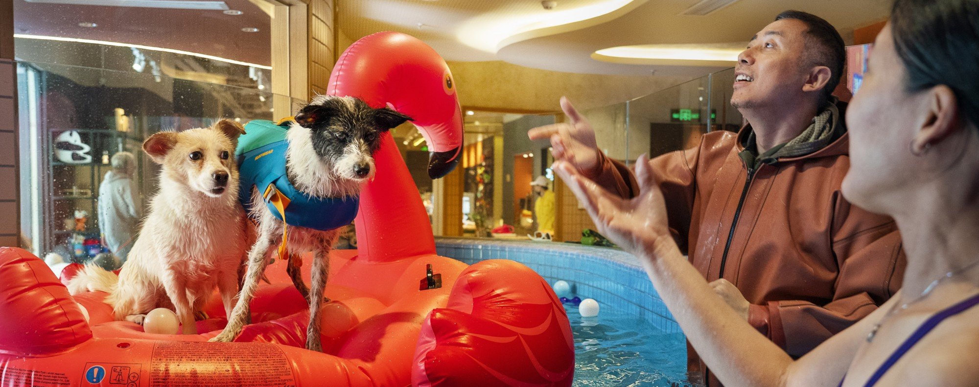 Children? No thanks – pets and partying are the future in China’s new normal