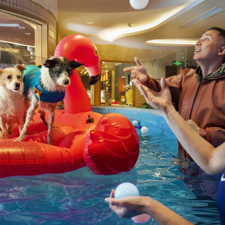 Pet owners Li Guangyu and Pixie Lim take their dogs for a swim at a pet centre in Shanghai. Li says he does not want the responsibility of having children. As China’s birth rate drops amid soaring childcare costs, more people are choosing careers, pets and partying over marriage and children. Photo: Justin Jin